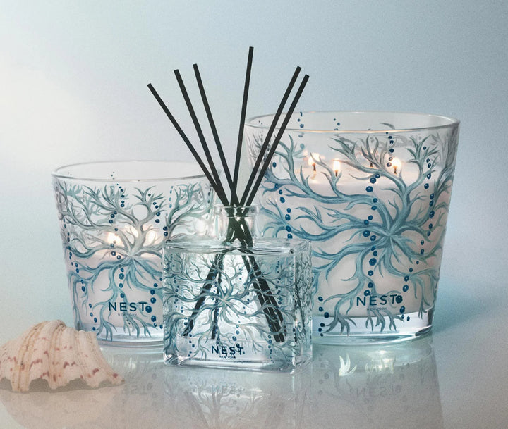 Specialty 3 Wick Candle - Ocean Mist &amp; Sea Salt - 21.1 oz