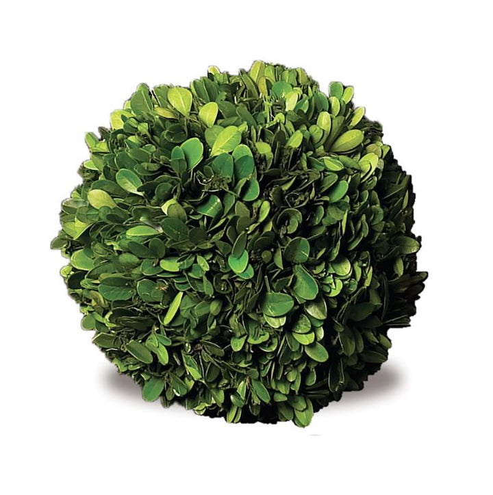 6" Boxwood Ball