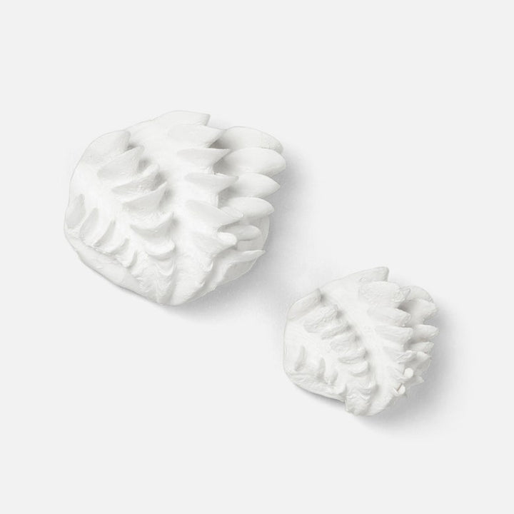 SM Shell Wall Sculptures- Set of 2