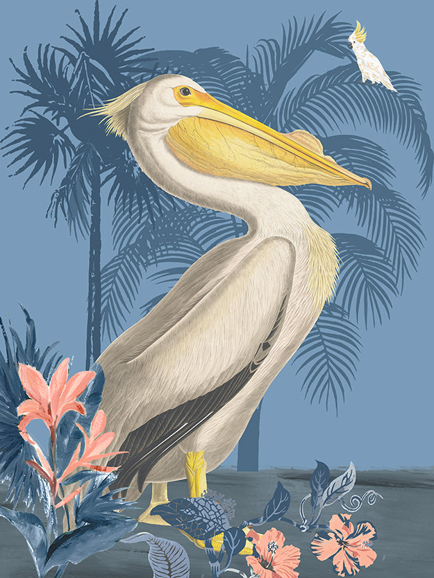 American White Pelican Acrylic Box Art - Dark Blue Background