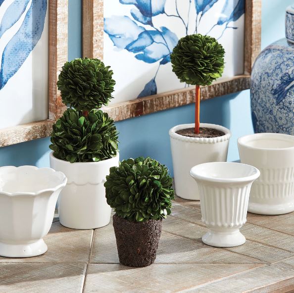 Single Tall Boxwood Mini Topiary Drop-In