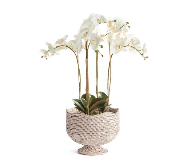 Burma Rattan Footed Cachepot- Whitewash