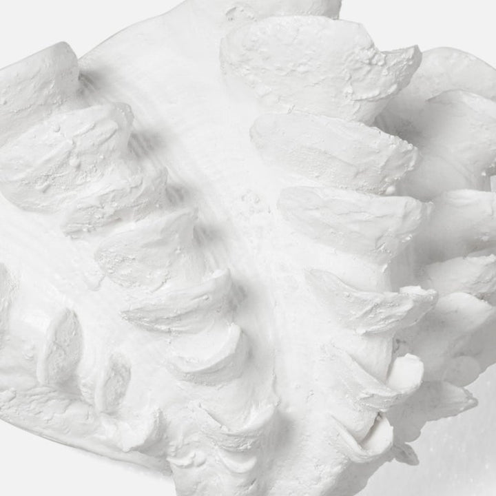 SM Shell Wall Sculptures- Set of 2