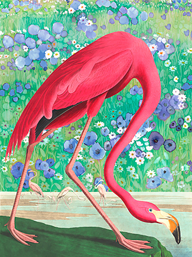 American Flamingo Acrylic Box Art- Facing Right