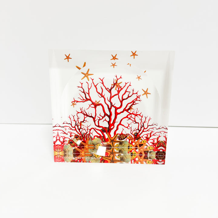 Red Coral Reef Candy Dish
