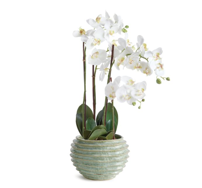 Green Avani Pot- Large