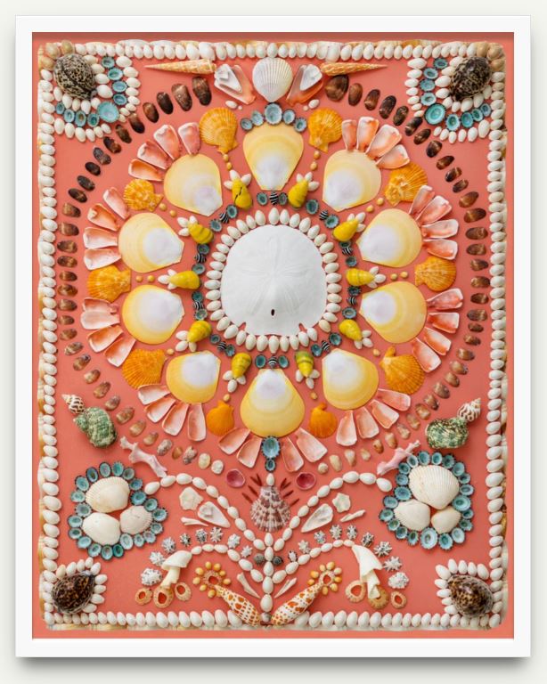 Coral Shell I Print