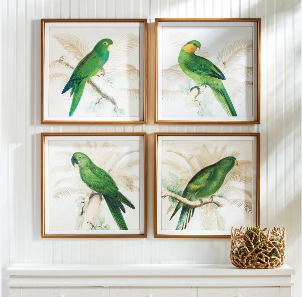Green Parrot Prints- Pair
