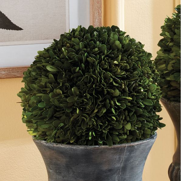 8" Boxwood Ball