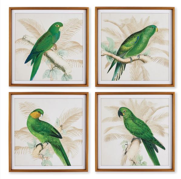 Green Parrot Prints- Pair