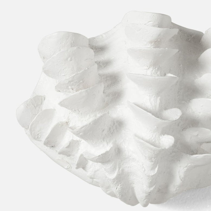 SM Shell Wall Sculptures- Set of 2