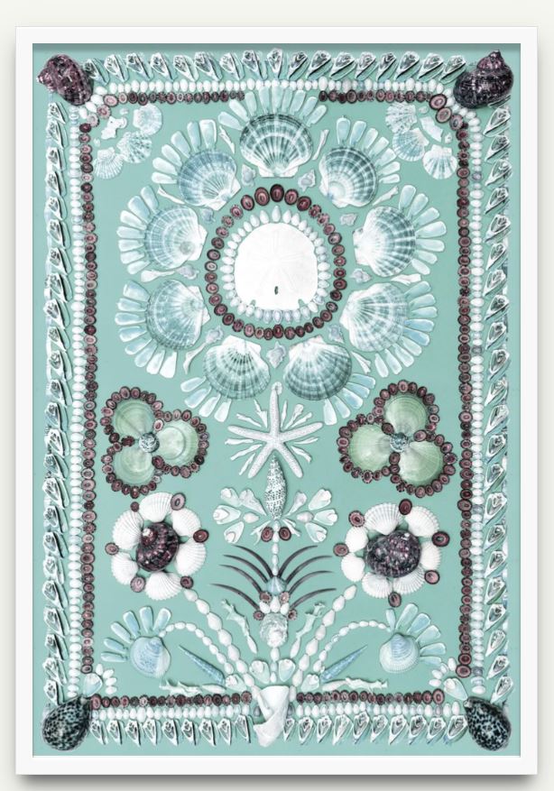 Turquoise Shell I Print