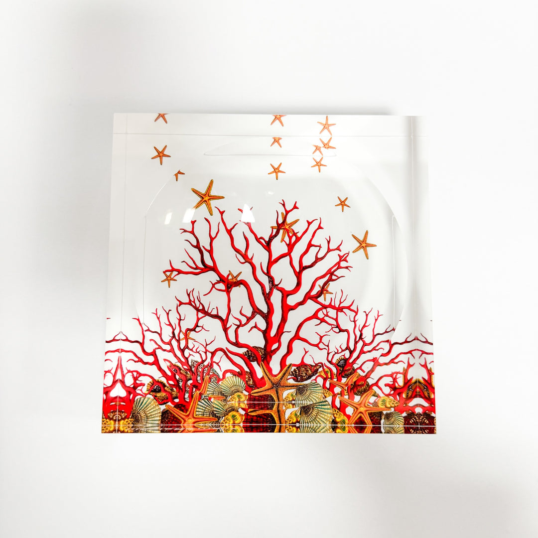 Red Coral Reef Candy Dish