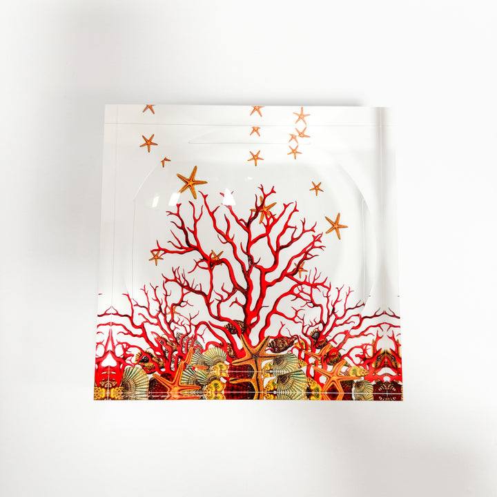 Red Coral Reef Candy Dish