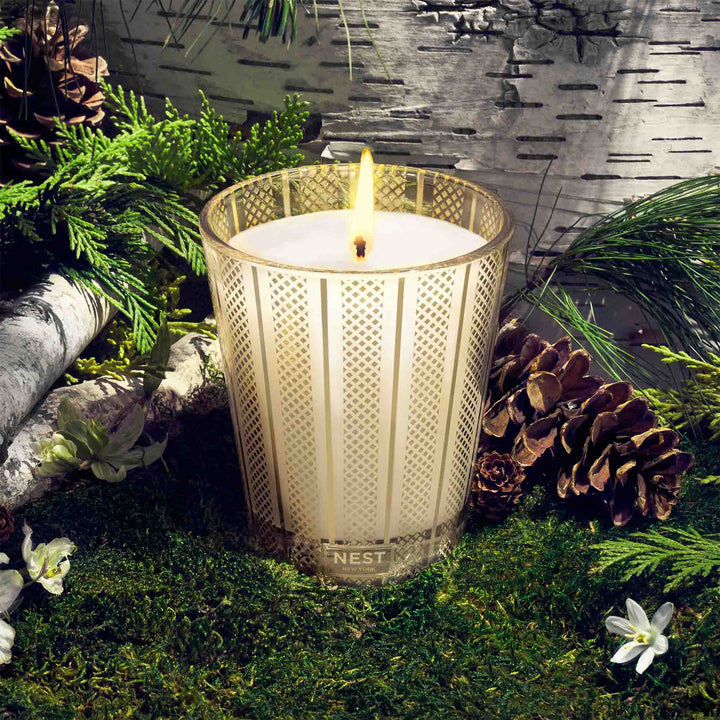 Classic Candle - Birchwood Pine - 8.1 oz