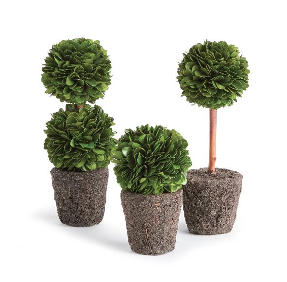 Single Tall Boxwood Mini Topiary Drop-In