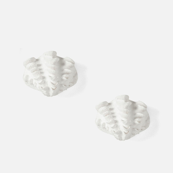SM Shell Wall Sculptures- Set of 2