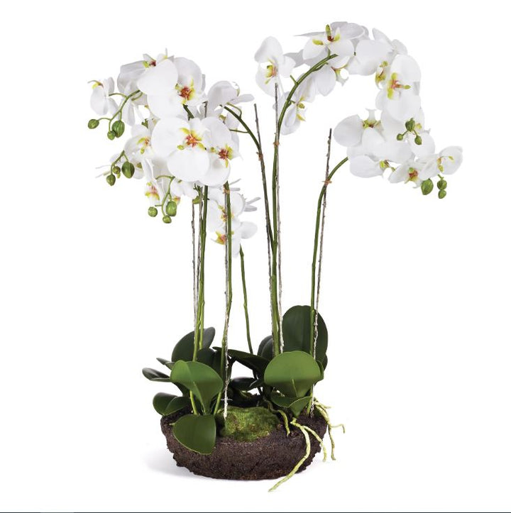 31.5" Orchid Drop In