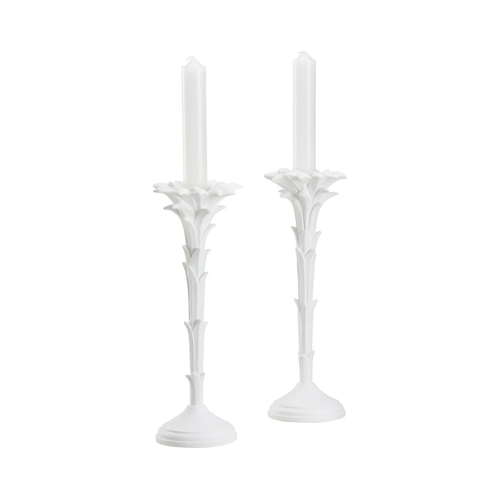 Rococo Palm Candlesticks-Pair