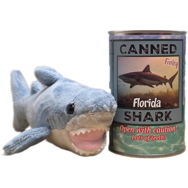Canned Florida Shark