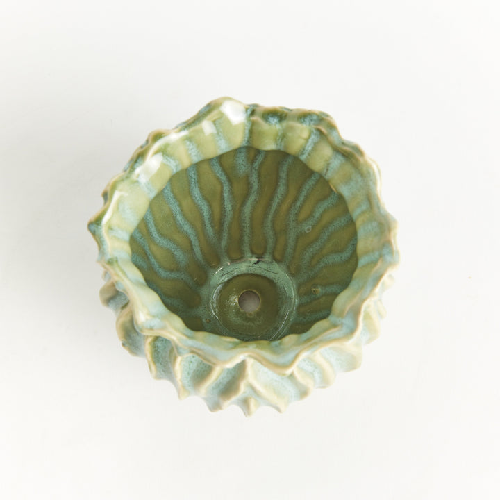 Green Esmeralda Pot