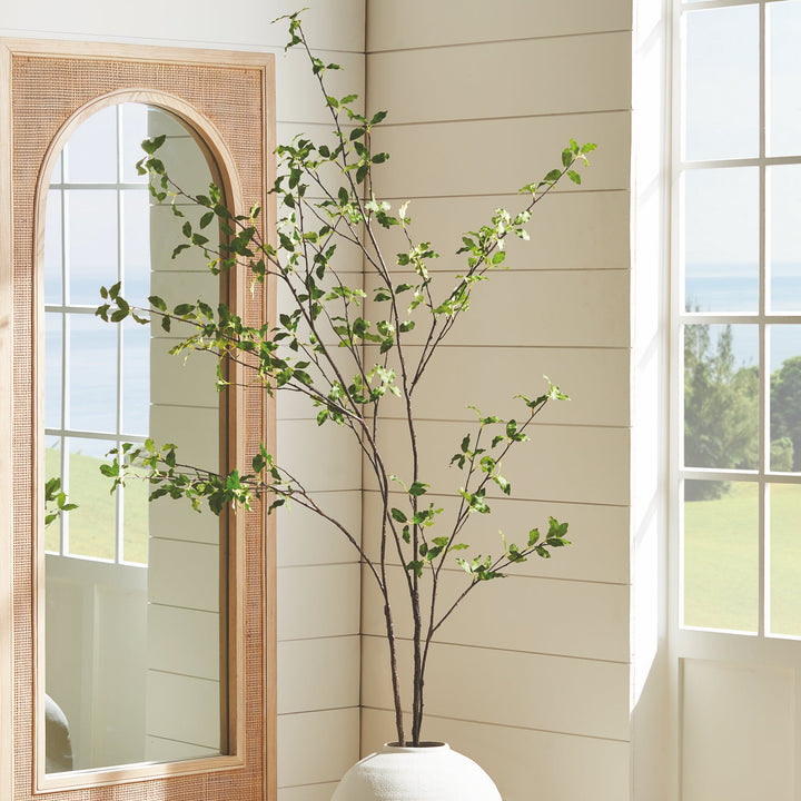 78" Pittosporum Branch