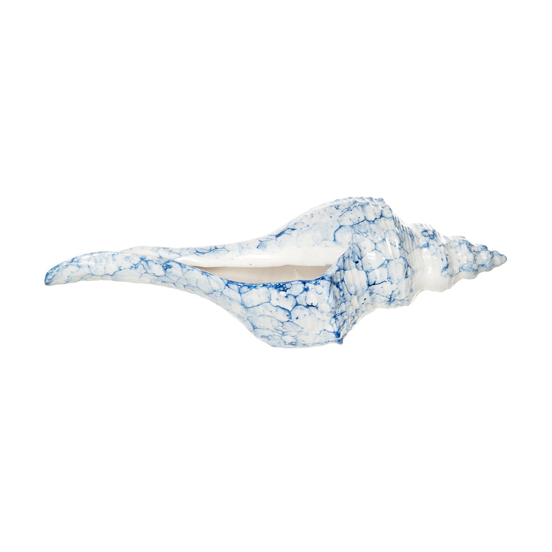 Blue Lightening Whelk Shell Figure