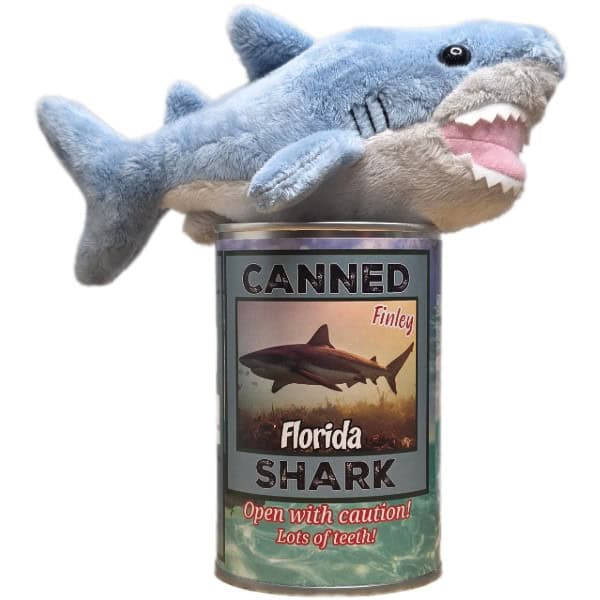 Canned Florida Shark