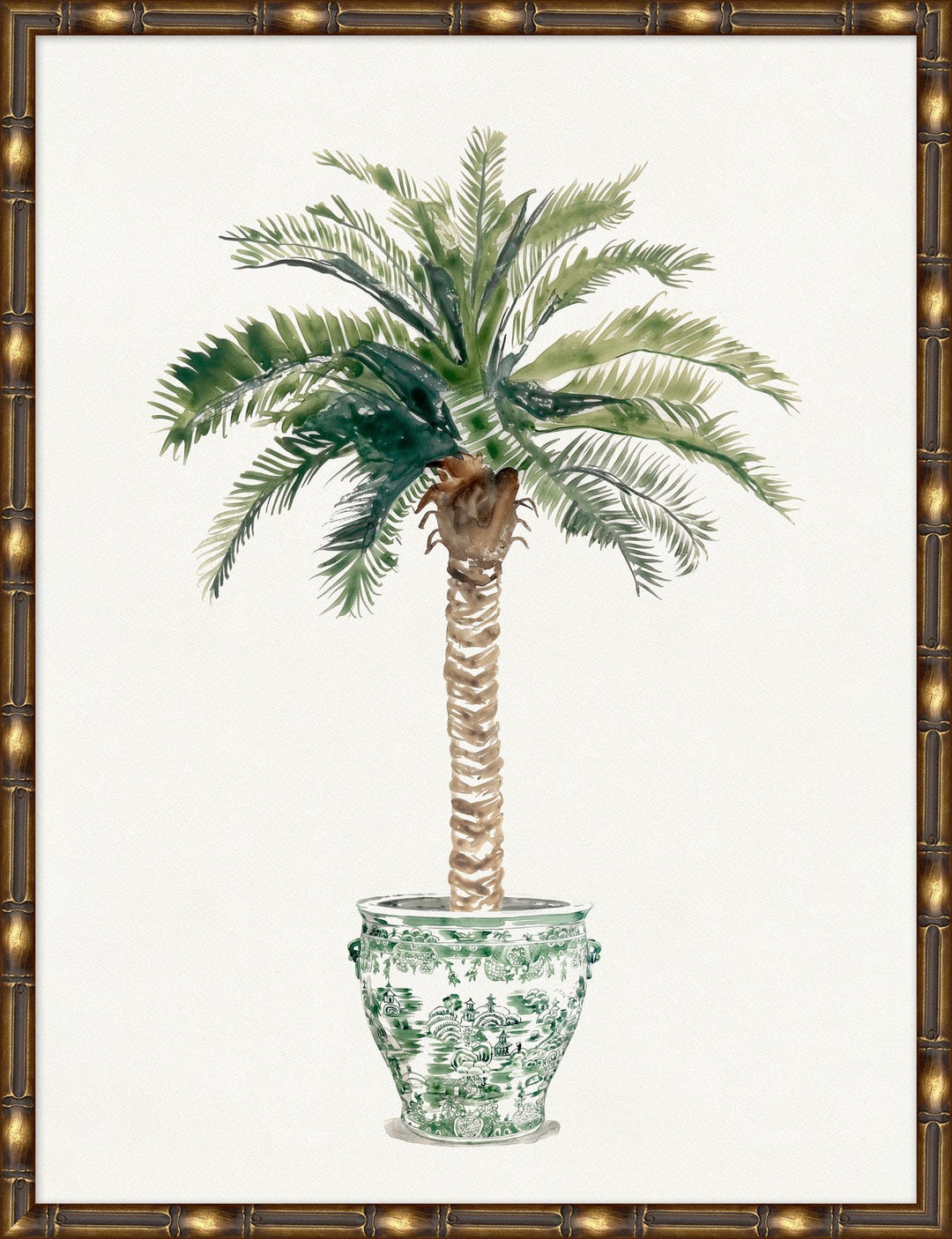 Potted Palm 1