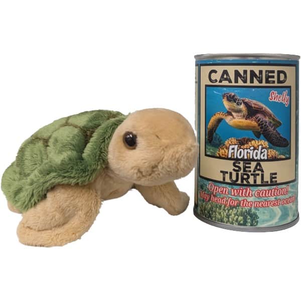 Canned Florida Turtle