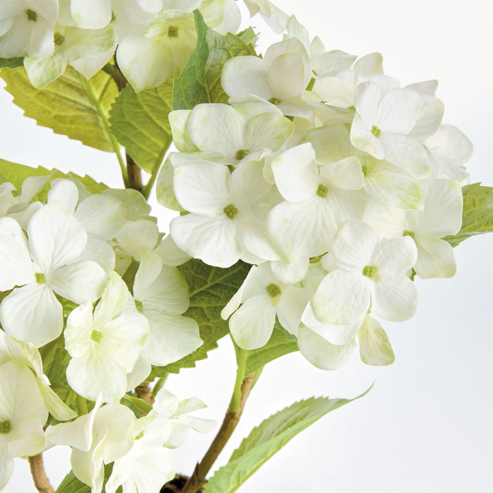 18" Hydrangea Drop-In