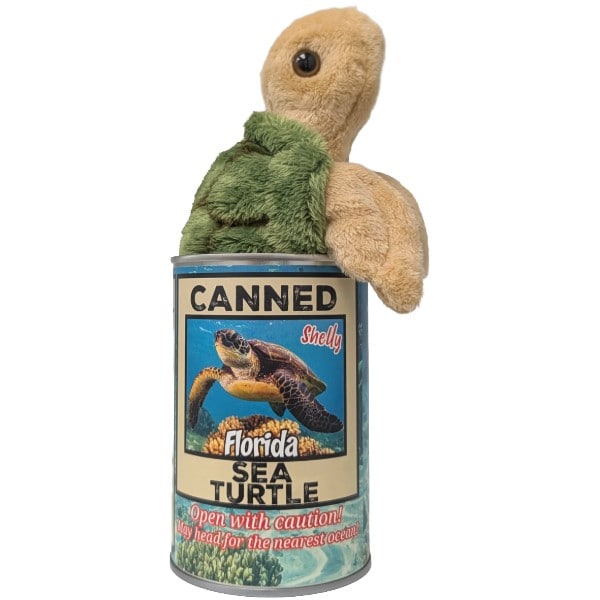 Canned Florida Turtle