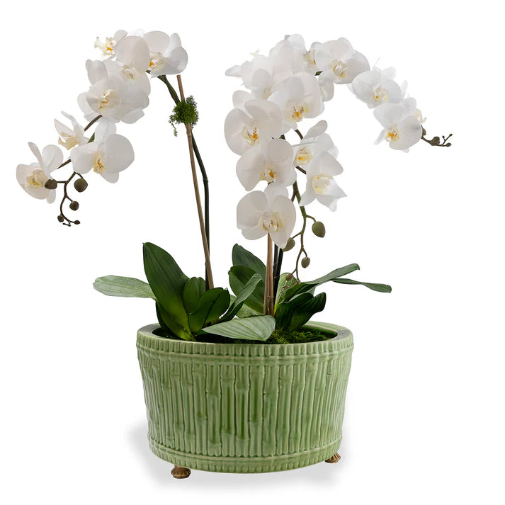 Bamboo Garden Basin