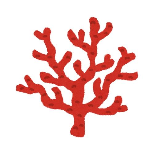 Coral Acrylic Napkin Weight