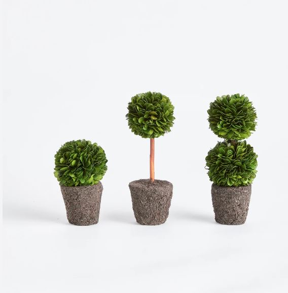 Single Short Boxwood Mini Topiary Drop-In