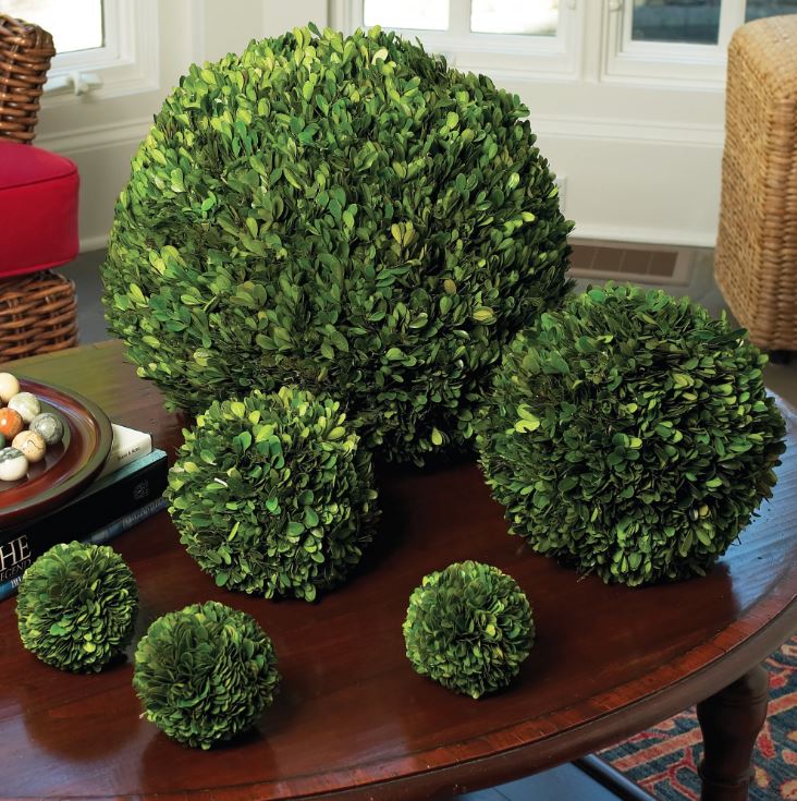 6" Boxwood Ball