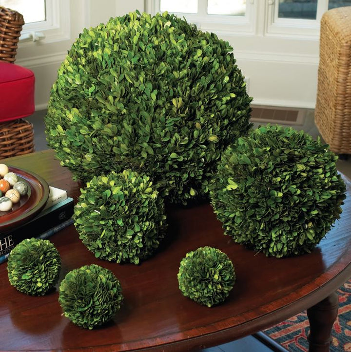 6" Boxwood Ball