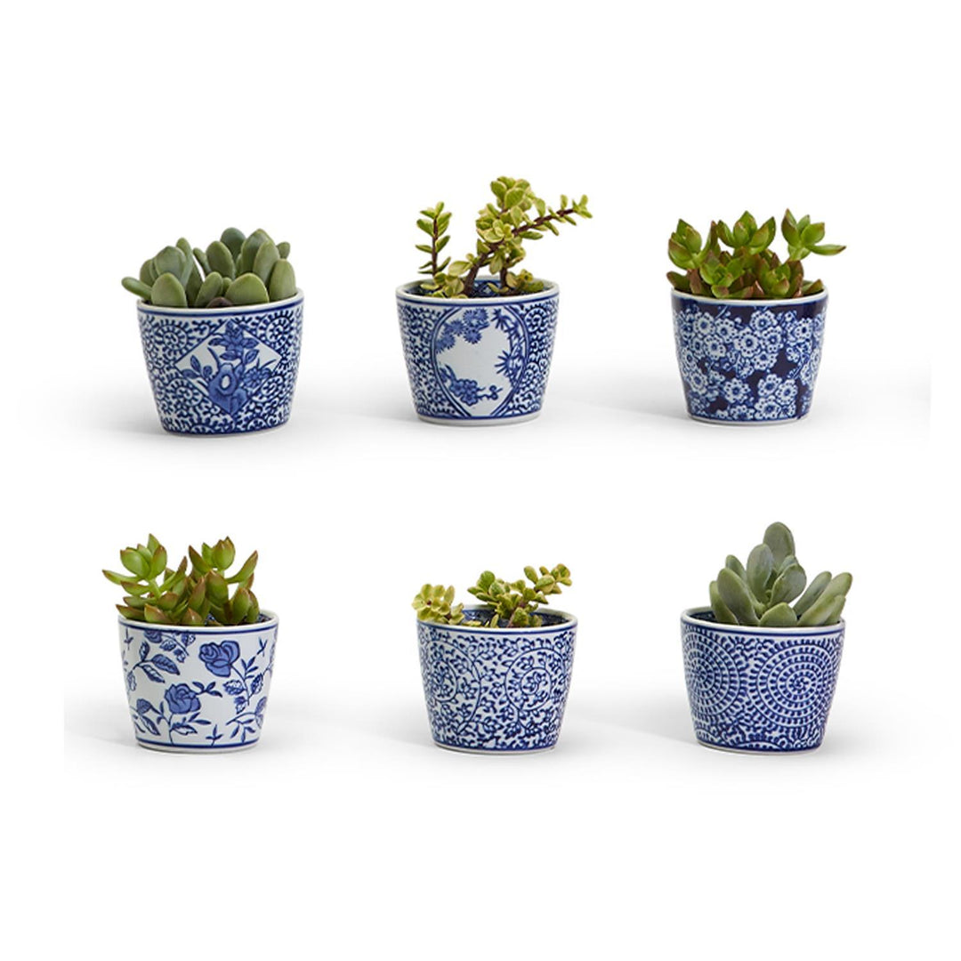 Canton Collection Cachepot-Asst