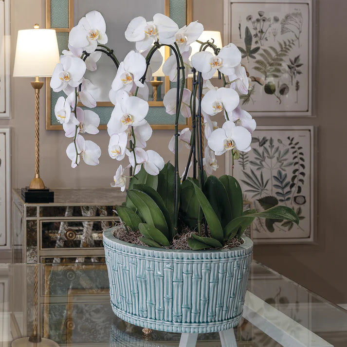 Bamboo Garden Basin